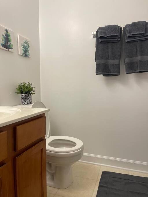 Апартаменты Simple Elegant Townhouse Dt Raleigh Ncsu Экстерьер фото